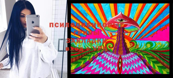 экстази Пересвет