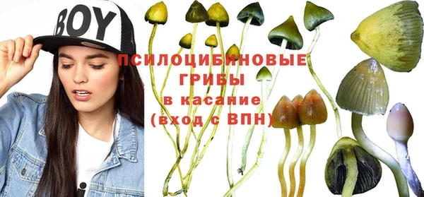 прущая мука Переславль-Залесский
