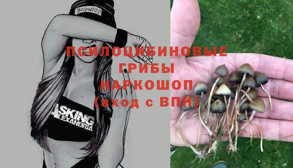 прущая мука Переславль-Залесский