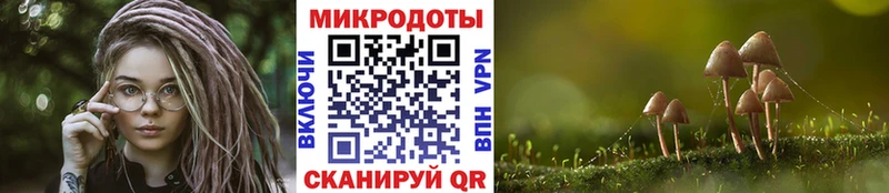 Псилоцибиновые грибы MAGIC MUSHROOMS  Сортавала 