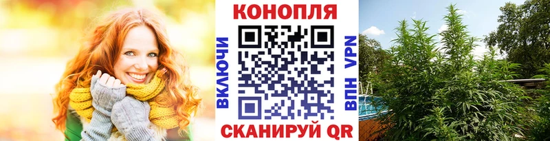 гидра вход  Сортавала  Марихуана Amnesia 
